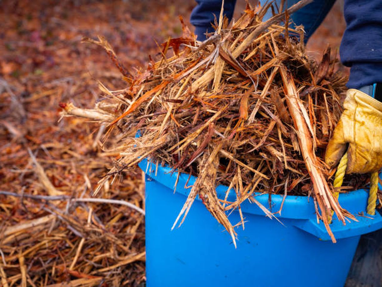 cedar mulch make soil acidic