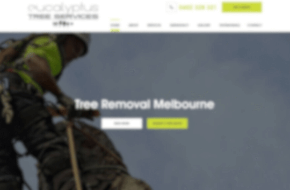 eucalyptus tree services