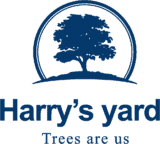 hy logo blue 160x144