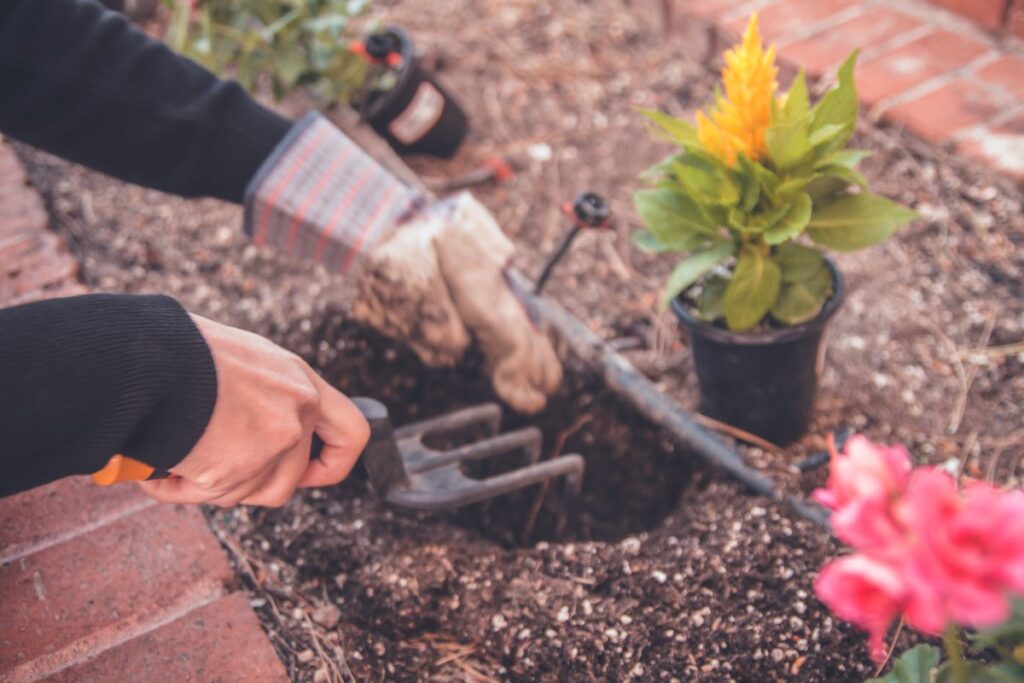 top 10 garden maintenance services in melbourne