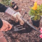 top 10 garden maintenance services in melbourne