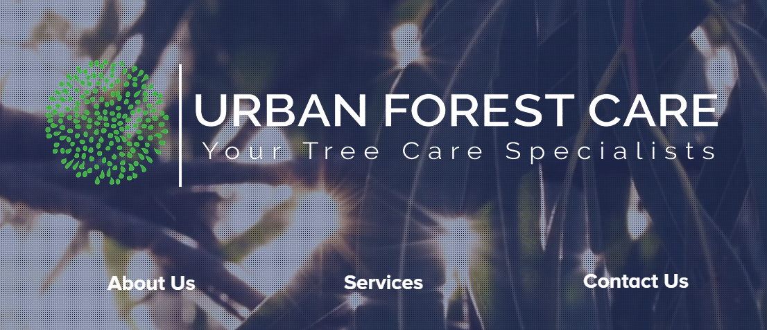 urban forest care