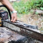 what tools do arborists use