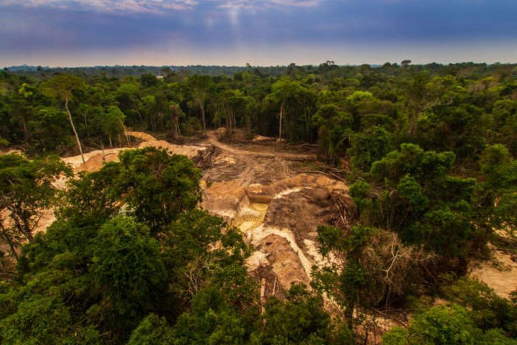 why deforestation happens